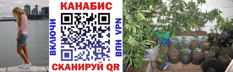 Купить закладки  Эртиль  Канабис ГИДРОПОН 